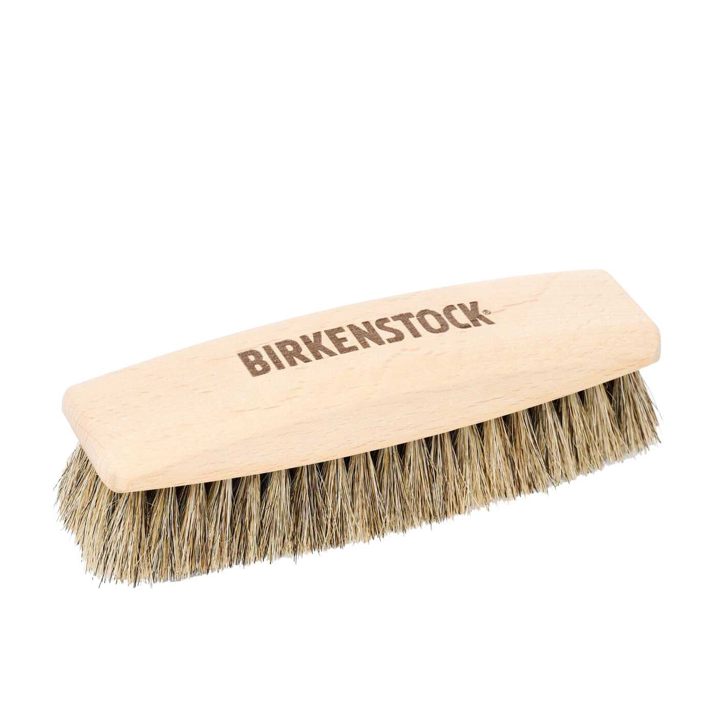 Polishing Brush