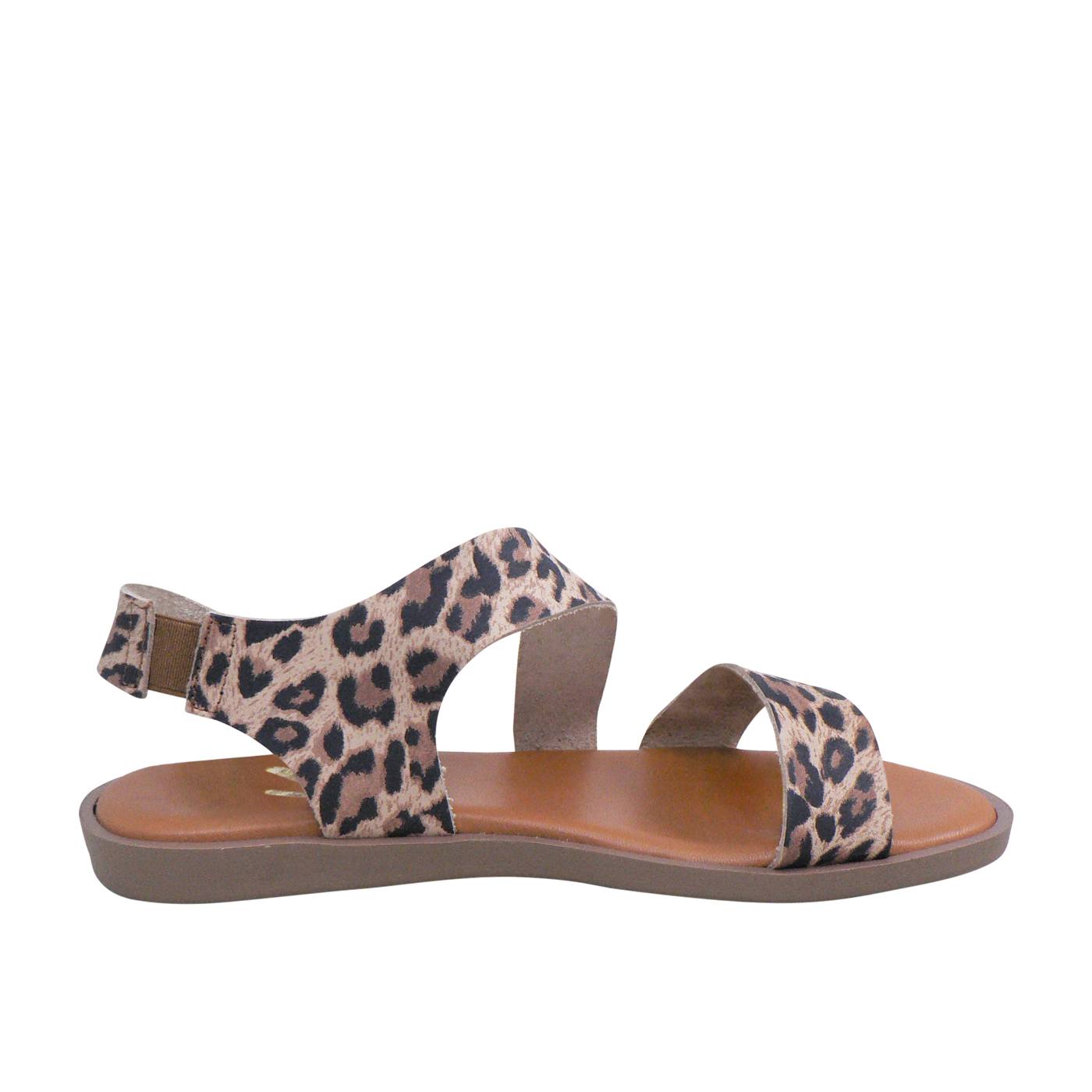 Mia - Leopardo - Image 4
