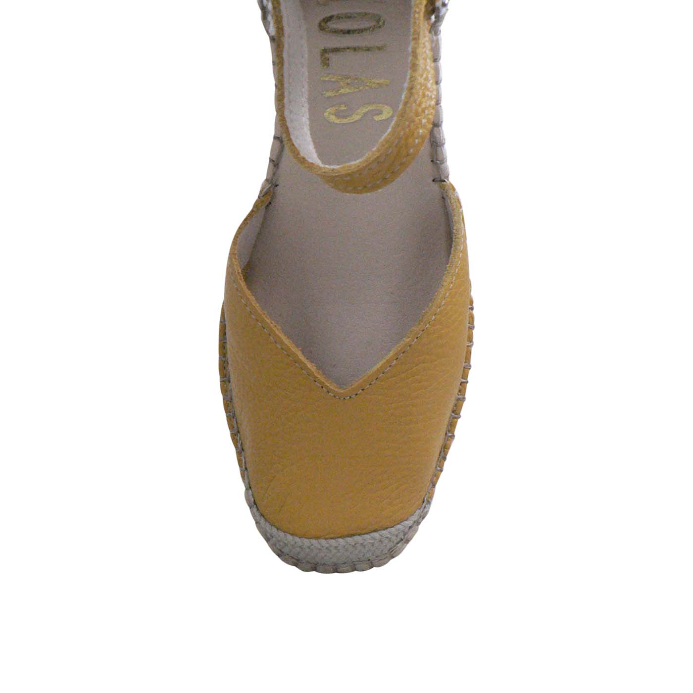 Donita - Fantasy Curcuma - Image 2