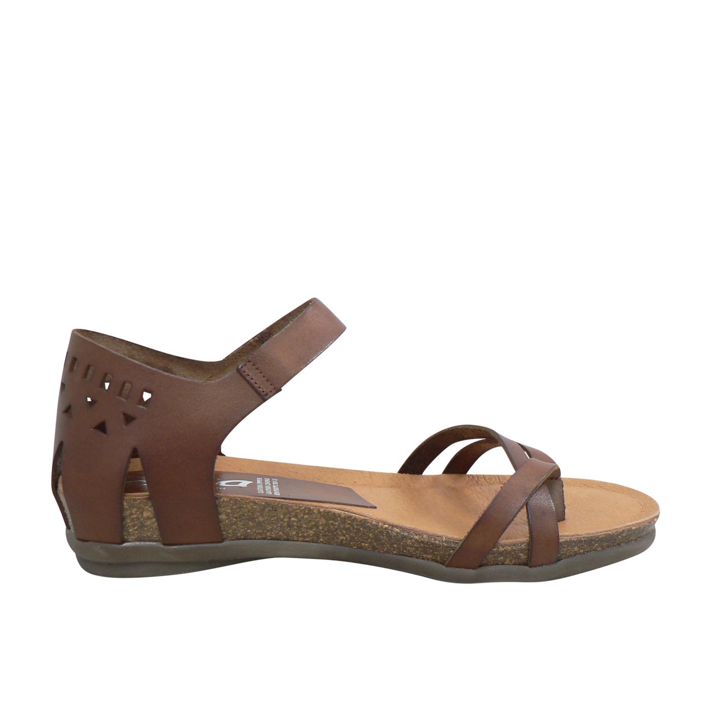 Reign - Nuez - Image 5